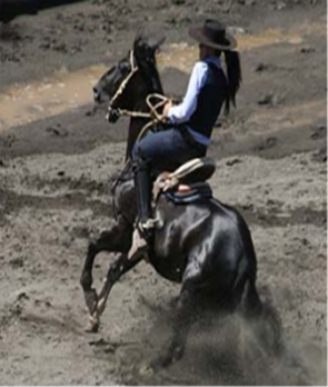 rodeo1