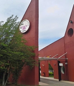 teleton1