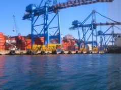 Fotografía ganadora tomada durante el paseo por la bahía de los alumnos de 1°EM-ETRIPORT, en la actividad de bienvenida llamada “El día del Delfín”.
