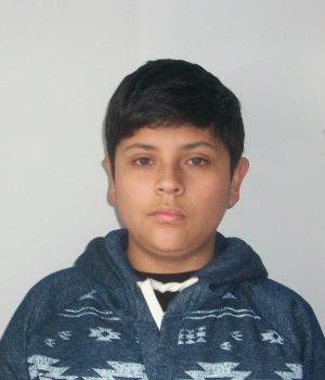 rodrigo-p