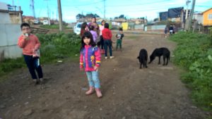 WP_20160720_16_18_37_Pro
