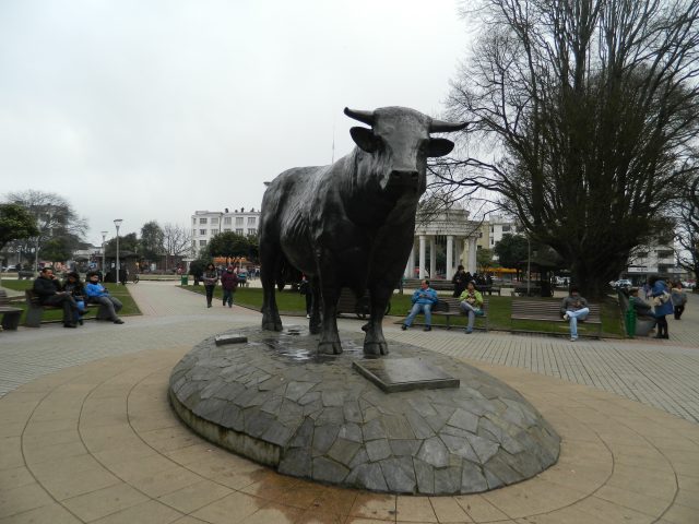 foto toro 1