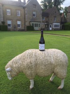 Foto de vino Trifulca aporte de Cristian Lagos, tomada en Inglaterra por reportero de la revista Decanter.