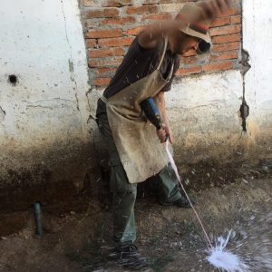 Foto aportada por Felipe Neira, proceso llamado Degüelle del proceso productivo del vino espumante, consistente en la remoción del sedimento dentro de la botella que es encargado de la formación de la burbuja
