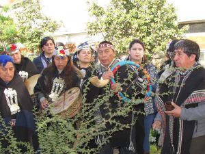 La comunidad mapuche reunida durante una ceremonia. Fuente: Archivo propio de Consejo de Longkos V Región