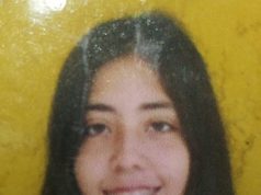 Columna De Opinión: Salud Mental En Chile