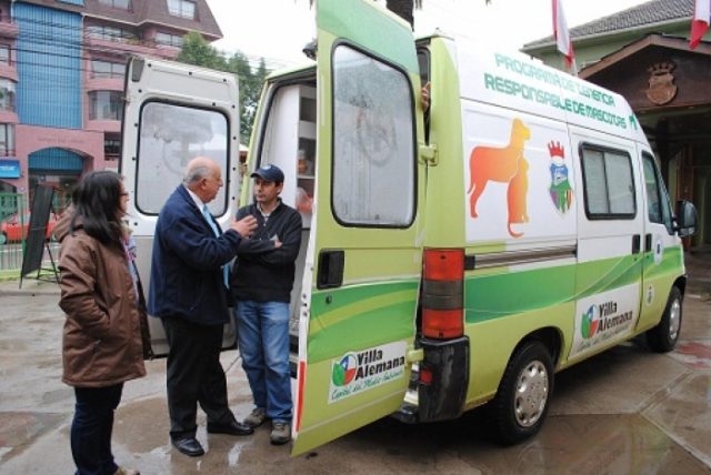 veterinaria