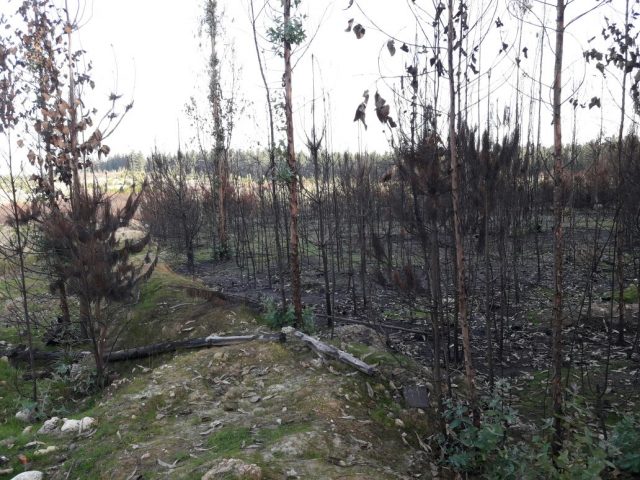 489 foto1 CRO1