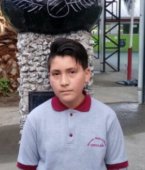 511 C foto columna 1