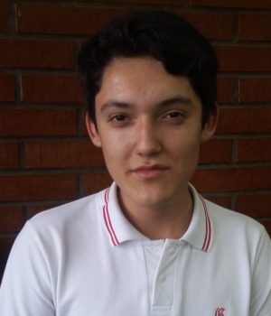 383 Foto COL3