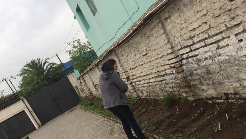HUERTO 1